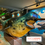 Grande Galerie de l'évolution- visuels 2024 - image00092