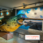 Grande Galerie de l'évolution- visuels 2024 - image00093