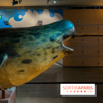 Grande Galerie de l'évolution- visuels 2024 - image00094