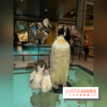 Grande Galerie de l'évolution- visuels 2024 - image00096