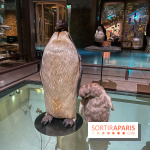 Grande Galerie de l'évolution- visuels 2024 - image00098