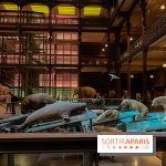 Grande Galerie de l'évolution- visuels 2024 - image00079