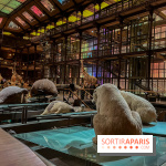 Grande Galerie de l'évolution- visuels 2024 - image00080