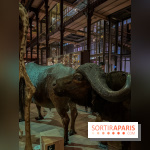 Grande Galerie de l'évolution- visuels 2024 - image00087