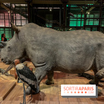 Grande Galerie de l'évolution- visuels 2024 - image00071