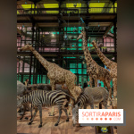 Grande Galerie de l'évolution- visuels 2024 - image00072