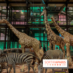 Grande Galerie de l'évolution- visuels 2024 - image00073