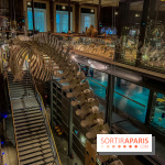 Grande Galerie de l'évolution- visuels 2024 - image00074