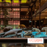 Grande Galerie de l'évolution- visuels 2024 - image00078