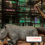 Grande Galerie de l'évolution- visuels 2024 - image00063