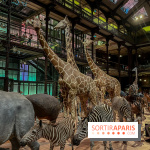 Grande Galerie de l'évolution- visuels 2024 - image00065