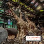 Grande Galerie de l'évolution- visuels 2024 - image00066