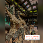 Grande Galerie de l'évolution- visuels 2024