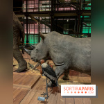 Grande Galerie de l'évolution- visuels 2024 - image00069