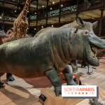 Grande Galerie de l'évolution- visuels 2024