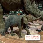 Grande Galerie de l'évolution- visuels 2024 - image00059