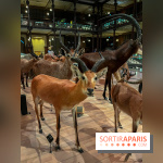 Grande Galerie de l'évolution- visuels 2024 - image00046