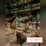 Grande Galerie de l'évolution- visuels 2024 - image00047