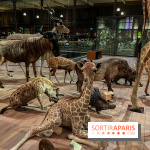 Grande Galerie de l'évolution- visuels 2024 - image00050