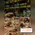 Grande Galerie de l'évolution- visuels 2024 - image00051