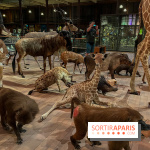 Grande Galerie de l'évolution- visuels 2024 - image00052