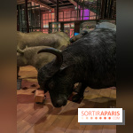 Grande Galerie de l'évolution- visuels 2024 - image00036