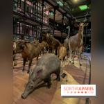 Grande Galerie de l'évolution- visuels 2024 - image00039