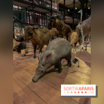 Grande Galerie de l'évolution- visuels 2024 - image00040