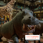 Grande Galerie de l'évolution- visuels 2024 - image00042