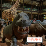 Grande Galerie de l'évolution- visuels 2024