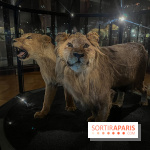 Grande Galerie de l'évolution- visuels 2024 - image00026