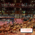 Grande Galerie de l'évolution- visuels 2024 - image00028