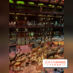 Grande Galerie de l'évolution- visuels 2024