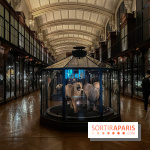 Grande Galerie de l'évolution- visuels 2024