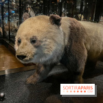 Grande Galerie de l'évolution- visuels 2024 - image00015