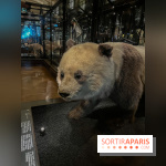 Grande Galerie de l'évolution- visuels 2024 - image00016