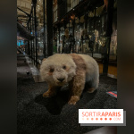 Grande Galerie de l'évolution- visuels 2024 - image00019