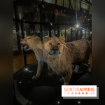 Grande Galerie de l'évolution- visuels 2024 - image00020