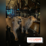 Grande Galerie de l'évolution- visuels 2024 - image00022