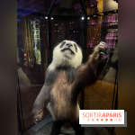 Grande Galerie de l'évolution- visuels 2024 - image00024