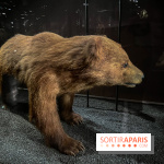 Grande Galerie de l'évolution- visuels 2024 - image00004