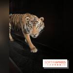 Grande Galerie de l'évolution- visuels 2024 - image00006