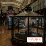 Grande Galerie de l'évolution- visuels 2024 - image00009