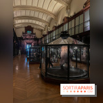 Grande Galerie de l'évolution- visuels 2024