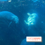 Zoo de Vincennes, Parc zoologique 2024 - nos photos - image00044