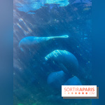 Zoo de Vincennes, Parc zoologique 2024 - nos photos - image00040