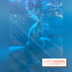 Zoo de Vincennes, Parc zoologique 2024 - nos photos - image00042