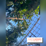 Zoo de Vincennes, Parc zoologique 2024 - nos photos - image00036