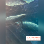 Zoo de Vincennes, Parc zoologique 2024 - nos photos - image00037