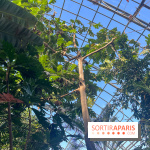 Zoo de Vincennes, Parc zoologique 2024 - serre tropicale